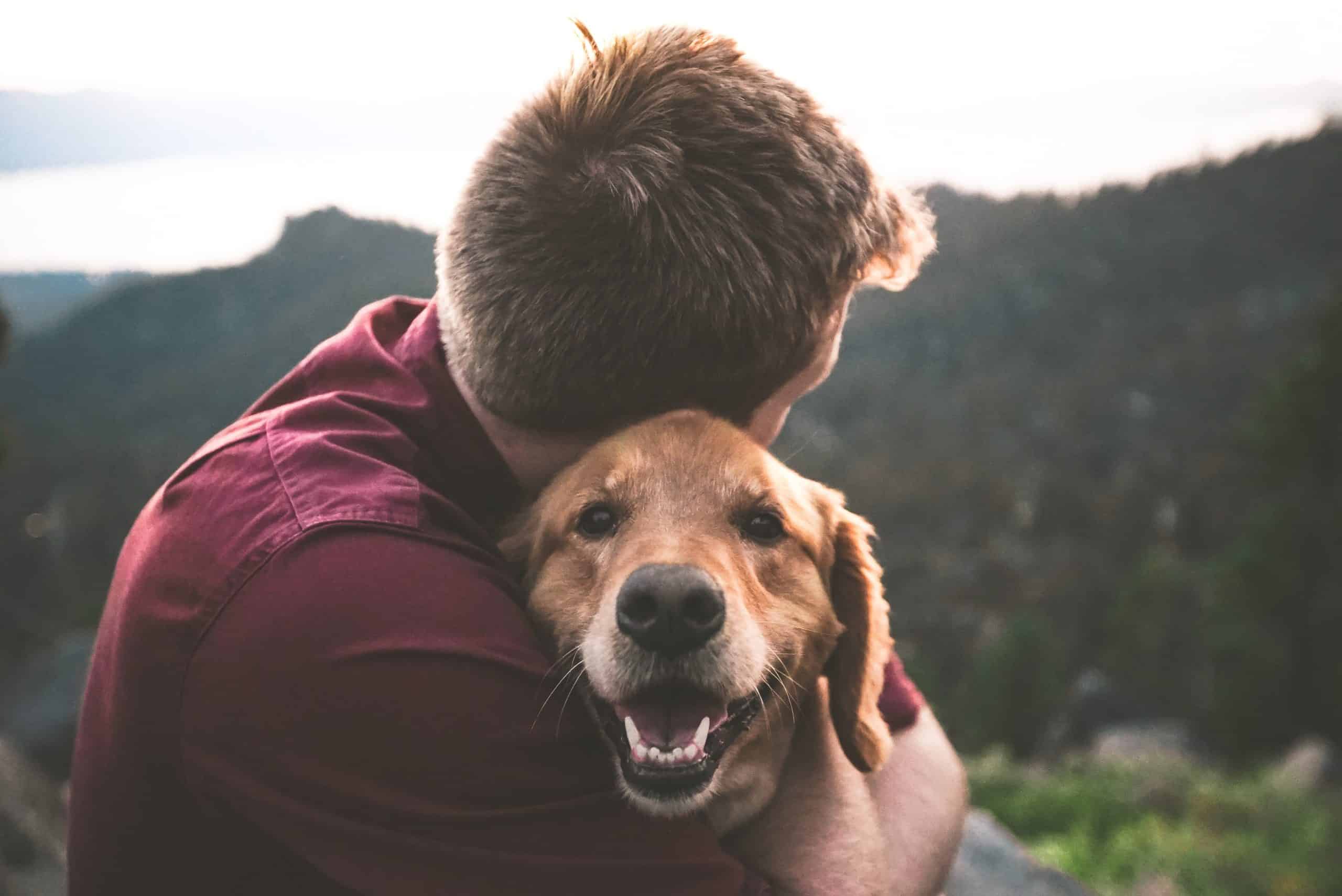 relation homme animal